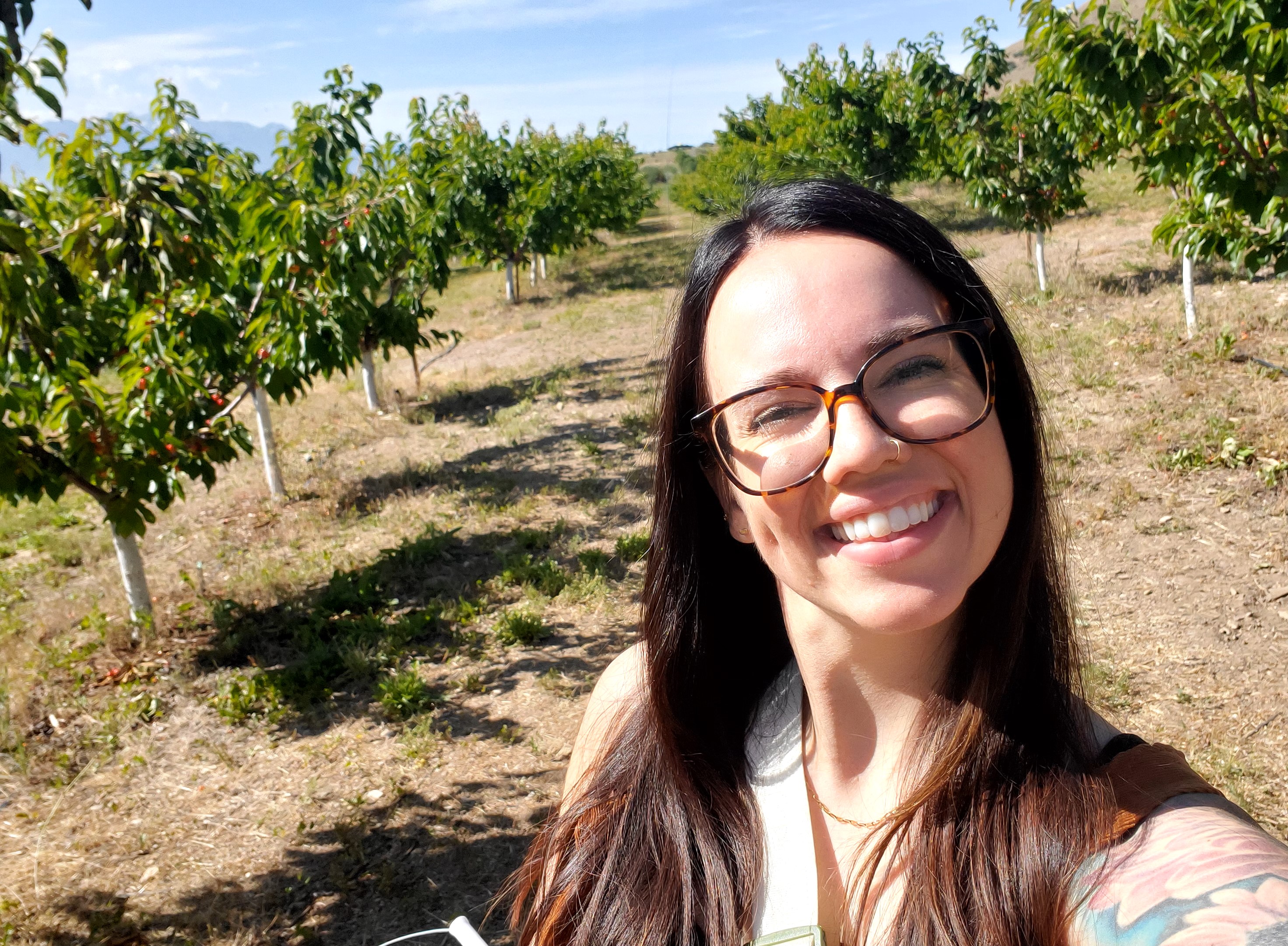 Rocky Top Fruit Farm Utah