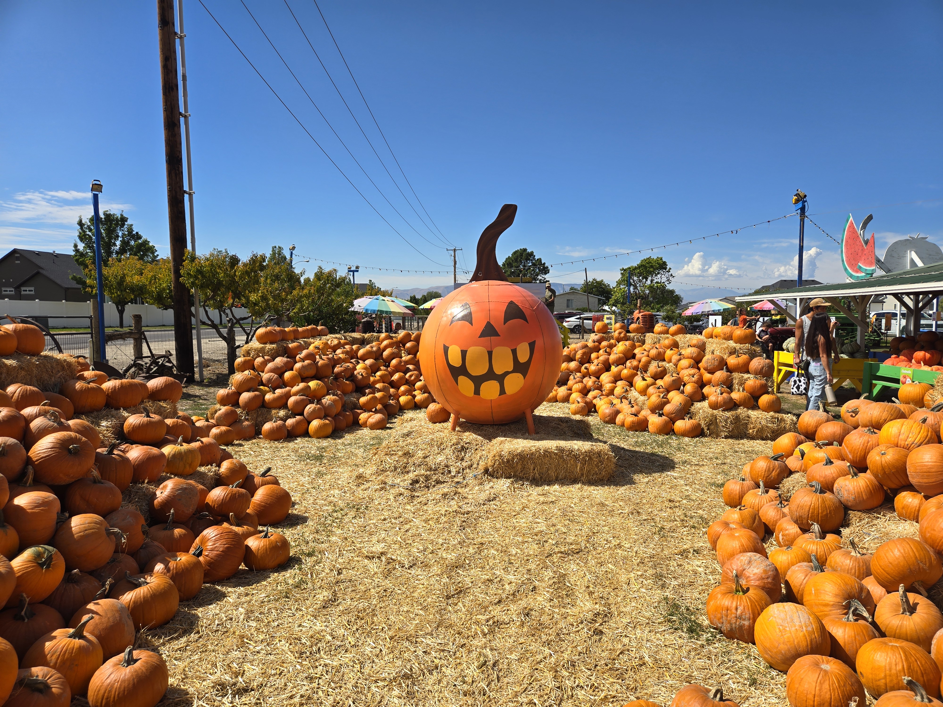 Wilkerson's Farms Best Kept Secrets